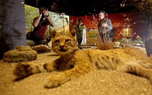 Sam Giesbrecht and Darcee Lytwyn get photography tips from Dave Benson during Safari Night at the Manitoba Museum, where people were taking guided tours with photography tips, Thursday, February 11, 2016. (TREVOR HAGAN/WINNIPEG FREE PRESS)