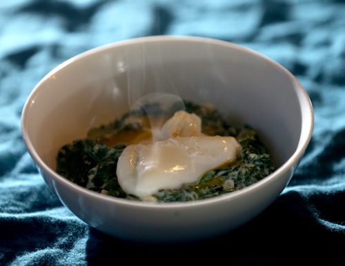 TREVOR HAGAN / WINNIPEG FREE PRESS Creamed Spinach and Poached Egg. Friday, February 19, 2016. FOR FOOD FRONT