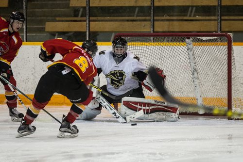 MIKE DEAL / WINNIPEG FREE PRESS University of Calgary Dinos Elgin Pearce (8) scores a goal against University of Manitoba Bisons goaltender Justin Paulic (1) in the third game of the Canada West quarter final best-of-three playoff series at Max Bell Arena. 160221 - Sunday, February 21, 2016