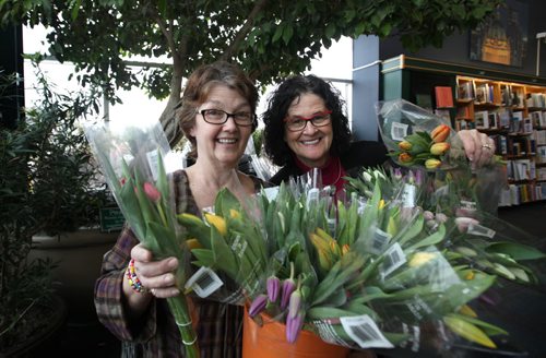 RUTH BONNEVILLE / WINNIPEG FREE PRESS Volunteers for the Manitoba Lung Association Merril MacKay (pink sweater) and Kim Alderson, show off their large buckets full of tulips they are selling at McNally Robinson Friday for the Breath of Spring Tulip Campaign that raises money for the Manitoba Lung Association. Standup photo March 4th, 2016