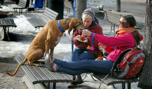 BORIS MINKEVICH / WINNIPEG FREE PRESS Skating at the Forks or the river trail is all but a memory as warm weather forced the trail to be closed. Workers have been removing all the benches and warm up huts. (L-R) Mossimo the 6 year old Italian Segugio dog enjoy some time good times with Chelsea Gee ,visiting from New Zealand , and  Amy Fazackerley. They were sharing some cinnamon buns and watching the geese fly by. Photo taken March 07, 2016