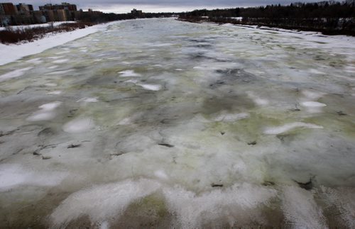 JOE BRYKSA / WINNIPEG FREE PRESS  A few residents who live in the area of the Red River near the St Vital bridge have noticed a yellow ice patches which they say they have never seen before- This view is off the St. Vital bridge looking north  March 08, 2016,(See story)