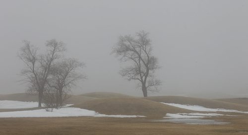 MIKE DEAL / WINNIPEG FREE PRESS Fog settles in on the John Blumberg Golf Course Sunday afternoon. 160313 - Sunday, March 13, 2016