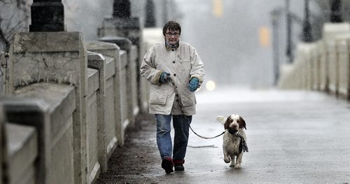 PHIL HOSSACK / WINNIPEG FREE PRESS Don't put the shovel away yet. Signey THordarson (yes Jon's sister) and her pooch "Jet" enjoy their walk  across the Assinaboine Park pedestrian bridge Wednesday afternoon as some serious snow decends on the city. Accumulations may be around 5cm here with 15-20 expected in the Whiteshell and area. STAND UP WEATHER.  MARCH 16, 2016