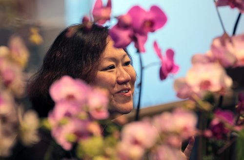 PHIL HOSSACK / WINNIPEG FREE PRESS Orchids - Ariel Lin mads her sales table of Orchids Friday morning as the Annual Orchid show opened at the Assiniboine Park Conservatory. The show runs all weekend. See Doug Spiers story - STAND-UP  MARCH 18, 2016