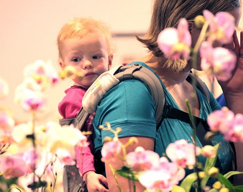 PHIL HOSSACK / WINNIPEG FREE PRESS Orchids - 2 yr old Julia Jeffrey gets a tour on mom (Kelli's) back Friday morning as the Annual Orchid show opened at the Assiniboine Park Conservatory. The show runs all weekend. See Doug Spiers story - STAND-UP  MARCH 18, 2016