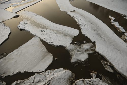 JOHN WOODS / WINNIPEG FREE PRESS Ice breaks up on the Assiniboine River in Winnipeg Sunday, March 20, 2016.