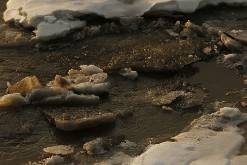 JOHN WOODS / WINNIPEG FREE PRESS Ice breaks up on the Assiniboine River in Winnipeg Sunday, March 20, 2016.