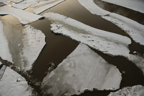 JOHN WOODS / WINNIPEG FREE PRESS Ice breaks up on the Assiniboine River in Winnipeg Sunday, March 20, 2016.