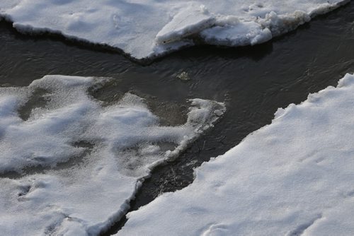 JOHN WOODS / WINNIPEG FREE PRESS Ice breaks up on the Assiniboine River in Winnipeg Sunday, March 20, 2016.