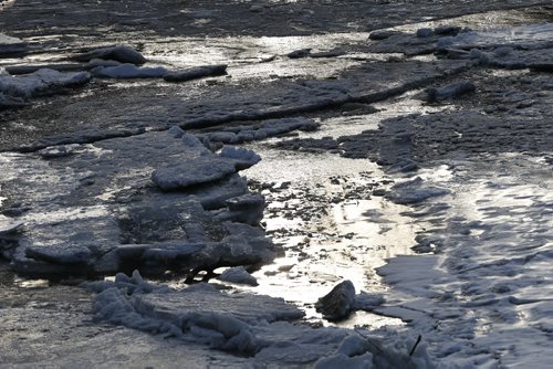 JOHN WOODS / WINNIPEG FREE PRESS Ice breaks up on the Assiniboine River in Winnipeg Sunday, March 20, 2016.