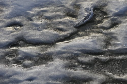 JOHN WOODS / WINNIPEG FREE PRESS Ice breaks up on the Assiniboine River in Winnipeg Sunday, March 20, 2016.