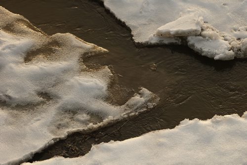 JOHN WOODS / WINNIPEG FREE PRESS Ice breaks up on the Assiniboine River in Winnipeg Sunday, March 20, 2016.