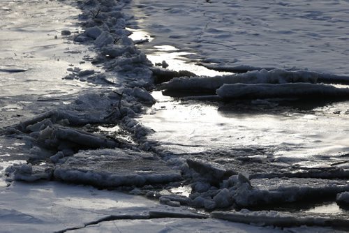 JOHN WOODS / WINNIPEG FREE PRESS Ice breaks up on the Assiniboine River in Winnipeg Sunday, March 20, 2016.