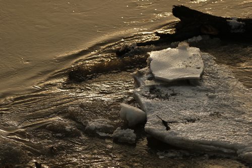 JOHN WOODS / WINNIPEG FREE PRESS Ice breaks up on the Assiniboine River in Winnipeg Sunday, March 20, 2016.