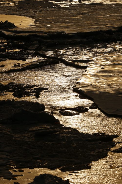 JOHN WOODS / WINNIPEG FREE PRESS Ice breaks up on the Assiniboine River in Winnipeg Sunday, March 20, 2016.