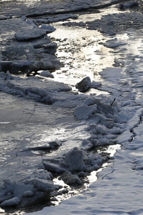 JOHN WOODS / WINNIPEG FREE PRESS Ice breaks up on the Assiniboine River in Winnipeg Sunday, March 20, 2016.