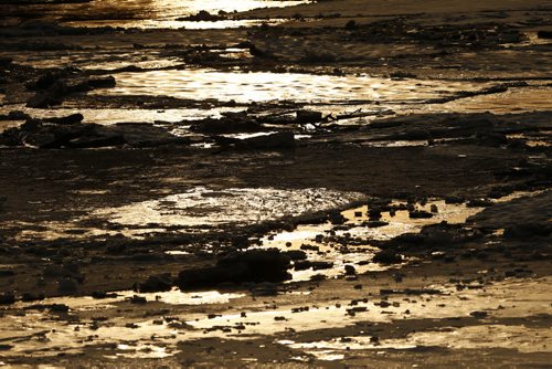 JOHN WOODS / WINNIPEG FREE PRESS Ice breaks up on the Assiniboine River in Winnipeg Sunday, March 20, 2016.