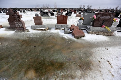TREVOR HAGAN / WINNIPEG FREE PRESS Headstones have begun tipping over in All Saints Cemetery on Main Street after standing water has softened the ground. For Jay Bell. Possible story, Friday, March 25, 2016.