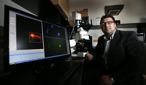 WAYNE GLOWACKI / WINNIPEG FREE PRESS    Ent. Dr. Sachin Katyal, senior research scientist at the Research Institute in Oncology and Hematology at CancerCare Manitoba. On the screen at left are images of brain tumour cells that had undergone irradiation to induce DNA damage. He is researching the cause of pediatric brain cancer, specifically DNA damage and how to repair it to stop tumours.   Joel Schlesinger story   March 31 2016