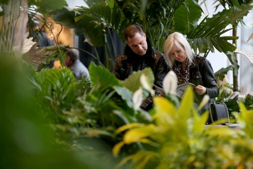 TREVOR HAGAN / WINNIPEG FREE PRESS John Hunsberger and Nancy Page in the St.Mary's Nursery and Garden Centre display at the Winnipeg Home and Garden Show at the Winnipeg Convention Centre, Saturday, April 2, 2016.