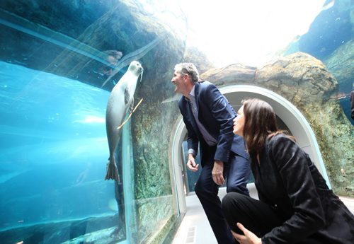 RUTH BONNEVILLE / WINNIPEG FREE PRESS  Manitoba PC leader Brian Pallister looks eye to eye with a seal in one of the tanks in the Journey to Churchill exhibit at the Assiniboin Park Zoo  after holding a press conference announcing new funding for Manitoba Tourism Wednesday.     April 06, 2016RUTH BONNEVILLE / WINNIPEG FREE PRESS  Manitoba PC leader Brian Pallister looks eye to eye with a seal in one of the tanks in the Journey to Churchill exhibit at the Assiniboin Park Zoo  after holding a press conference announcing new funding for Manitoba Tourism Wednesday.     April 06, 2016RUTH BONNEVILLE / WINNIPEG FREE PRESS  Manitoba PC leader Brian Pallister with his wife Esther, looks eye to eye with a seal in one of the tanks in the Journey to Churchill exhibit at the Assiniboin Park Zoo  after holding a press conference announcing new funding for Manitoba Tourism Wednesday.     April 06, 2016