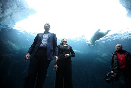 RUTH BONNEVILLE / WINNIPEG FREE PRESS  Manitoba PC leader Brian Pallister and his wife Esther look up at a Polo Bear swimming around them in the Journey to Churchill exhibit at the Assiniboin Park Zoo Wednesday after holding a press conference announcing new funding for Manitoba Tourism.   April 06, 2016