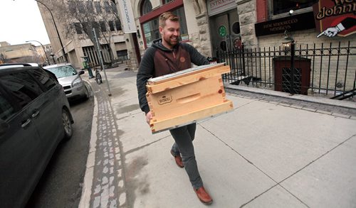 PHIL HOSSACK / WINNIPEG FREE PRESS En-route to a beekeeping workshop, urban beekeeper Chris Kirouac strides down McDermott ave carrying a "super", or a bee box, part of a beehive. See Intersection piece by Dave Sanderson.  April 6, 2016