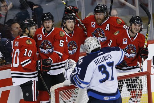 JOHN WOODS / WINNIPEG FREE PRESS Manitoba Moose goaltender Conor Hellebuyck (37) reacts as Rockford Icehogs' Tanner Kero (10), Cameron Schilling (5), Tyler Motte (37) Pierre-Cedric Labrie (22) and Nick Mattson (3) celebrate Schilling's goal during first period AHL action in Winnipeg on Sunday, April 10, 2016.