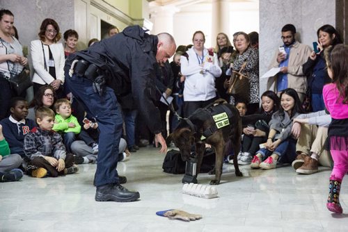 MIKE DEAL / WINNIPEG FREE PRESS Officer Hamill demonstrates how Brady a K-9 officer seeks out drugs during Law Day Open House at the Manitoba Law Courts Sunday afternoon. Both officers work at Stoney Mountain penitentiary. 160417 - Sunday, April 17, 2016