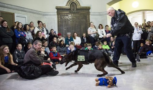 MIKE DEAL / WINNIPEG FREE PRESS Officer Hamill demonstrates how Brady a K-9 officer seeks out drugs during Law Day Open House at the Manitoba Law Courts Sunday afternoon. Both officers work at Stoney Mountain penitentiary. 160417 - Sunday, April 17, 2016