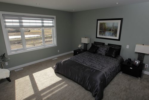 BORIS MINKEVICH / WINNIPEG FREE PRESS NEW HOMES - 125 Willow Creek Road. Master bedroom. April 25, 2016