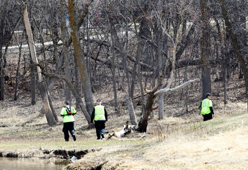 JOE BRYKSA / WINNIPEG FREE PRESS  Searchers scour the banks of the Sturgeon Creek looking for missing 60 yr old Catherine Curtis- She was last seen Monday morning in the St James area of Winnipeg, Apr 27 , 2016.(Breaking news