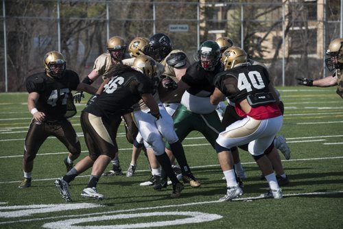 DAVID LIPNOWSKI / WINNIPEG FREE PRESS  Scrimmage action during the University of Manitoba Bisons 2016 spring camp Sunday May 1, 2016 at the University of Manitoba Turf Fields.