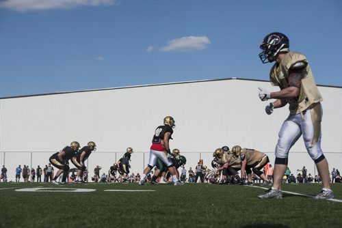 DAVID LIPNOWSKI / WINNIPEG FREE PRESS  Scrimmage action during the University of Manitoba Bisons 2016 spring camp Sunday May 1, 2016 at the University of Manitoba Turf Fields.