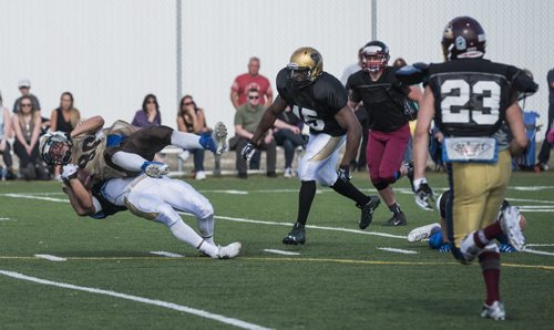 DAVID LIPNOWSKI / WINNIPEG FREE PRESS  Scrimmage action during the University of Manitoba Bisons 2016 spring camp Sunday May 1, 2016 at the University of Manitoba Turf Fields.