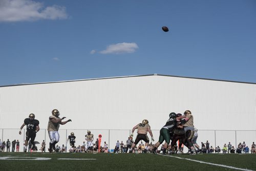 DAVID LIPNOWSKI / WINNIPEG FREE PRESS  Scrimmage action during the University of Manitoba Bisons 2016 spring camp Sunday May 1, 2016 at the University of Manitoba Turf Fields.