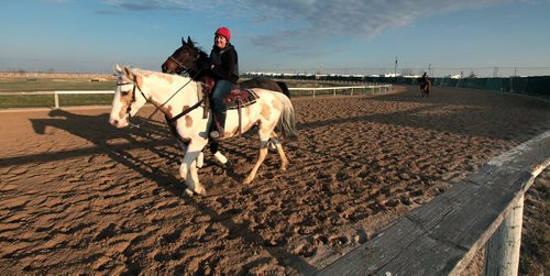 PHIL HOSSACK / WINNIPEG FREE PRESS Warm up rider Nikki Kitchener walks a racehorse beside her mount on the training track at Assiniboia Downs Monday. The track's Opening Day first day's Post Time is Sunday at 730 pm. May 2, 2016
