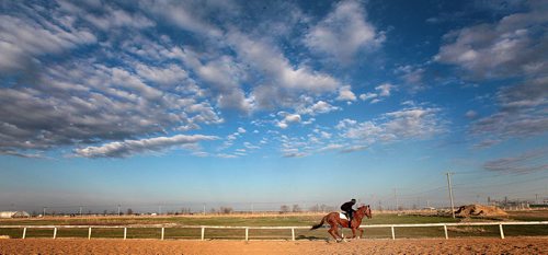 PHIL HOSSACK / WINNIPEG FREE PRESS Set against an early morning manitoba sky, an exercise rider pushes his mount around the smaller training track at Assiniboia Downs early Monday. The track's Opening Day first day's Post Time is Sunday at 730 pm. May 2, 2016