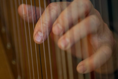 MIKE DEAL / WINNIPEG FREE PRESS Larry Fisher, a Winnipegger who makes what are considered to be the the best Irish harps in the world. Professional players from all over the world order their instruments from Larry, who builds them in his workshop. 160412 - Tuesday, April 12, 2016