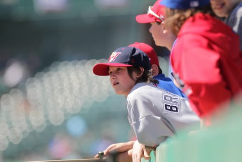 RUTH BONNEVILLE / WINNIPEG FREE PRESS  Eric Glays (grey) and his teammates with the Bonivital Red Sox Pee Wee Baseball team watch the Goldeyes practice on the field at the opening day training camp Saturday at Shaw Field.    May 07, , 2016