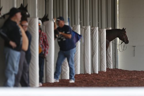 JOHN WOODS / WINNIPEG FREE PRESS Competitors wait for the big race in the paddock before a race on opening day at Assiniboia Downs  Sunday, May 8, 2016.