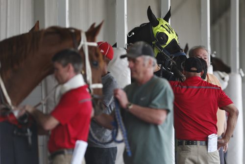 JOHN WOODS / WINNIPEG FREE PRESS Competitors are readied in the paddock before a race on opening day at Assiniboia Downs  Sunday, May 8, 2016.