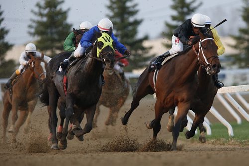 JOHN WOODS / WINNIPEG FREE PRESS Richard Mairs on Judy Kay leads out of the final corner in race four on opening day at Assiniboin Downs  Sunday, May 8, 2016.