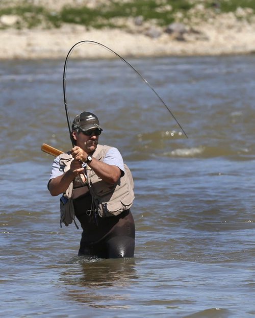 WAYNE GLOWACKI / WINNIPEG FREE PRESS    Fly Fisher Brian Woods hooks onto a carp Tuesday along the east side of the Red River downstream from the Special Conservation Area by the St. Andrews Lock and Dam.  Ashley Prest story May 17  2016