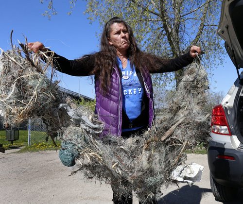 WAYNE GLOWACKI / WINNIPEG FREE PRESS    Cindy Kovach with discarded fishing line and hooks she has found on the shore along the east side of the Red River north of the St. Andrews Lock and Dam  this spring.This is the contents of one of the four large bags collected out of concern for the safety of the birds.  Ashley Prest story May 17  2016