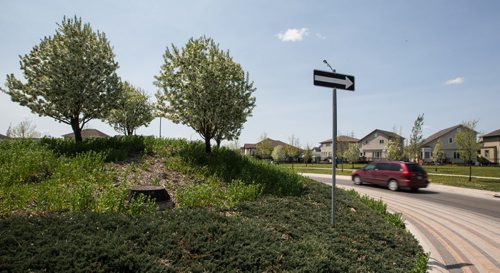 MIKE DEAL / WINNIPEG FREE PRESS Bridgwater Forest Neighourhood Coun. Janice Lukes says the city has no budget to maintain the parks and open spaces in the new Waverley West neighbourhoods. 160519 - Thursday, May 19, 2016