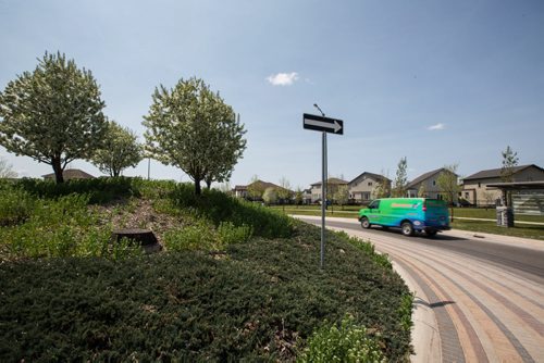 MIKE DEAL / WINNIPEG FREE PRESS Bridgwater Forest Neighourhood Coun. Janice Lukes says the city has no budget to maintain the parks and open spaces in the new Waverley West neighbourhoods. 160519 - Thursday, May 19, 2016