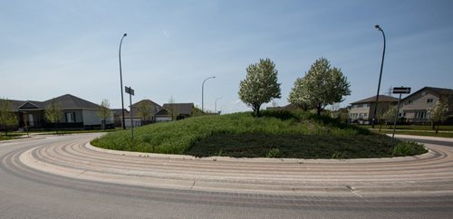 MIKE DEAL / WINNIPEG FREE PRESS Bridgwater Forest Neighourhood Coun. Janice Lukes says the city has no budget to maintain the parks and open spaces in the new Waverley West neighbourhoods. 160519 - Thursday, May 19, 2016