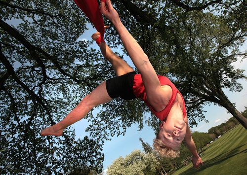 PHIL HOSSACK / WINNIPEG FREE PRESS - Jordan Dock , 21-year-old local hairstylist who is running off to join the circus hangs from an Assinaboine Park Elm Tree THursday. That's the world famous Cirque du Soleil in Montreal. Which has been his dream since he was seven years old. Gord SInclair's story. May 19, 2016